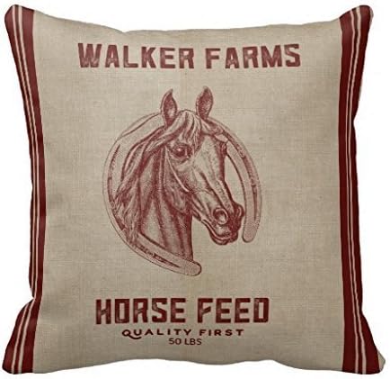 AHArtSaleStore O29L Farms Horse Feed Sack Throw Pillow 18 X 18 Square Pillowcase