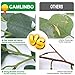 Artificial Greenery Garland, Camlinbo Eucalyptus Willow Garland Total 12Ft Christmas Garland Leaf Vines Ivy Garland Hanging Wreath for Wedding Arch Backdrop Wall Party Decor-Eucalyptus Grey