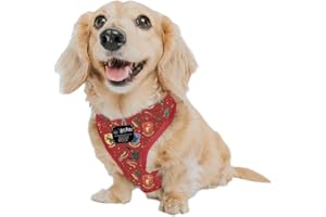 Sassy Woof Dog Adjustable Harness - Harry Potter™ - XS, Breathable Mesh, No Pull Design with Two D-Rings, Patented Design, Perfect for Small Dogs and Puppies - Officially Licensed