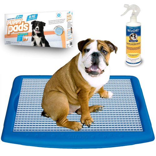 Wizdog Vs Ugodog Reviewed Which Indoor Dog potty is Best?