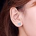 Earrings Bella.Vida Womens Sterling Silver Simulated Birthstone Cubic Zirconia Studs for Sensitive Ears 7mm
