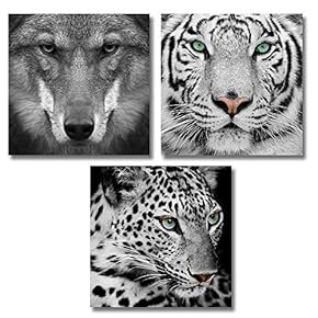 3 Piece Canvas Wall Art for Living Room Bedroom Home Artwork Animal Paintings Ready to Hang - 12"x12"x3 Panels