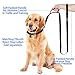 Tifereth Large-Medium Two-Double Handle Dog-Leash - Heavy Duty 6ft Foot Big Durable Nylon Padded Traffic Handle Leash for Medium to Large Dogs