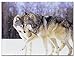 BANBERRY DESIGNS Wolf Print - LED Lighted Canvas Wildlife Picture - Frolicking Grey Wolves Nuzzling in a Snowy Winter Forest Scene