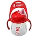 Liverpool FC Official Soccer Crest Training Mug (One Size) (Clear/Red)