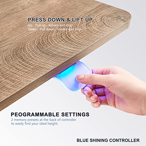 LINSY HOME Standing Desk, 55 Inch Electric Adjustable Height Desk for