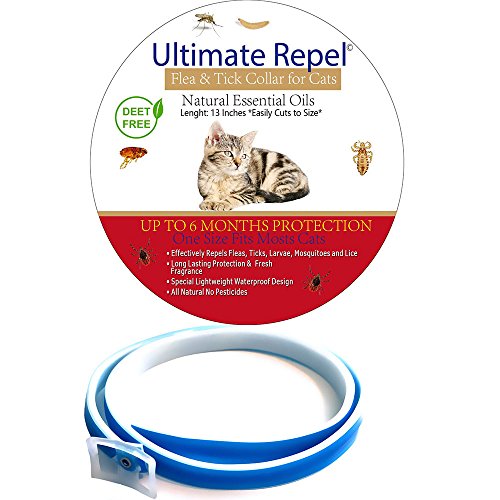 Best Cat Flea Collars Buying Guide GistGear