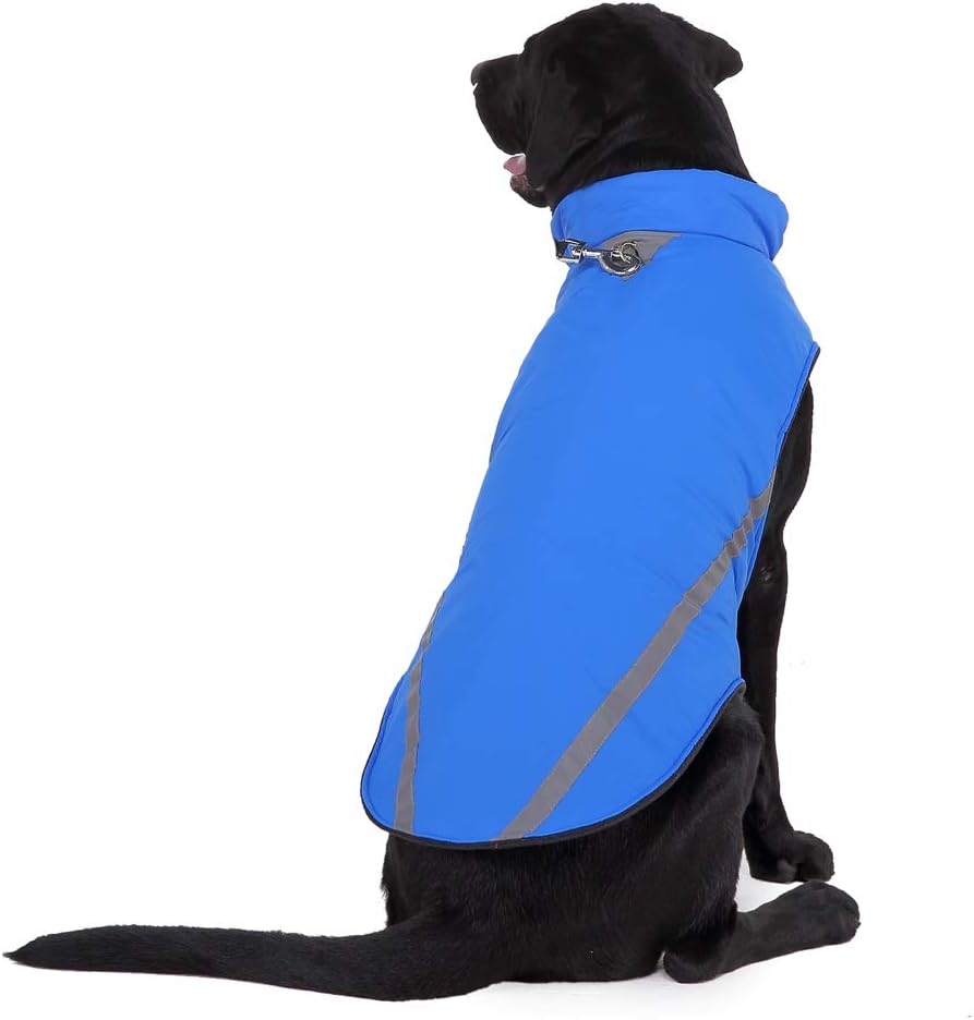 muddy paws stormguard