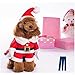 Mikayoo Christmas Costumes for Small Dog Medium Dog Or Cat, Santa Suit with Hat,Santa Dress with Hat, Santa Claus Costumes Christmas Holiday, Xmas Coat with Santa Hat, Xmas Dress with Santa Hat(M)