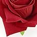 QtGirl Fabric Rose Hair Clips Flower Brooch for Women Teens at Party Ball Wedding (Red)