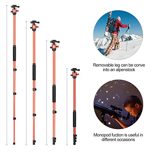 MACTREM Tripod DSLR SLR Tripod, 62.5" Light-Weight Aluminum Alloy Camera Tripod Phone Tripod with Phone Holder, 360 Degree Ball Head, Detachable Monopod, 33lbs Load with Carry Bag, Orange