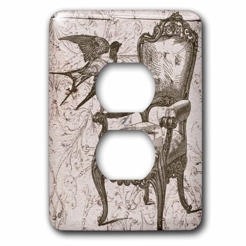 3dRose lsp_110259_6 Vintage Chair and Bird Steampunk Art - 2 Plug Outlet Cover