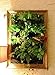 12 Pocket Indoor Waterproof Vertical Living Wall Planterthumb 3
