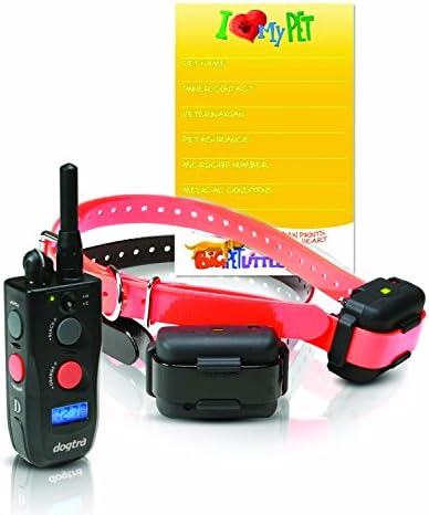 Dogtra 2 Dog Remote Trainer 282NCP Platinum System PLUS PET EMERGENCY Contact Information Magnet - VALUE BUNDLE