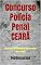 Livro Concurso Polícia Penal CEARÁ: LEGISLAÇÃO EXTRAVAGANTE (Tópicos Mais Relevantes)