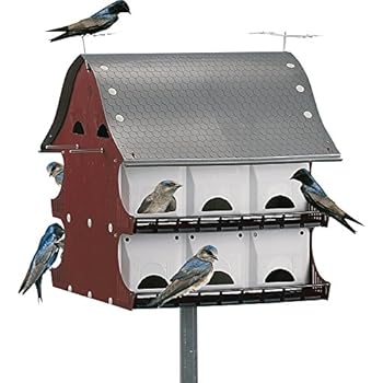 16 Family Purple Martin Barn