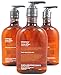 Lot of 3 Bath & Body Works Aromatherapy Energy Orange Ginger Hand Soap (Orange Ginger)