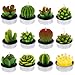 DaveandAthena 12 Pieces Cactus Tealight Candles Handmade Delicate Succulent Cactus Candles for Birthday Party, Wedding, Spa, Home Decoration (Style 1)