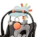 Skip Hop Silver Lining Cloud Stroller Bar Activity Toy, Multi