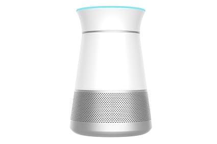 braven alexa speaker
