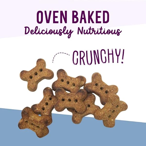 HEALTH EXTENSION OVEN-BAKED DOG TREATS, LAMB RECIPE – GLUTEN & WHEAT-FREE, SUPERFOOD-INFUSED, CRUNCHY BISCUITS FOR PUPPY TRAINING (2.25 LB)