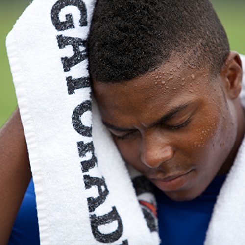 Gatorade Thirst Quencher G2, Grape, 12 Ounce (Pack of 6) - Image 6