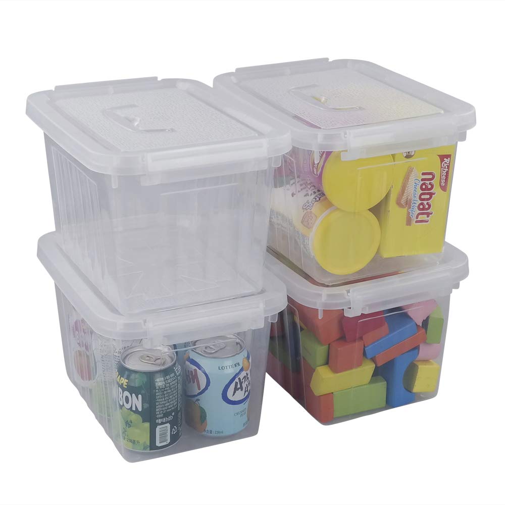 Cadineer 4 Set of 6 L Small Clear Plastic Storage Boxes with Lids, R