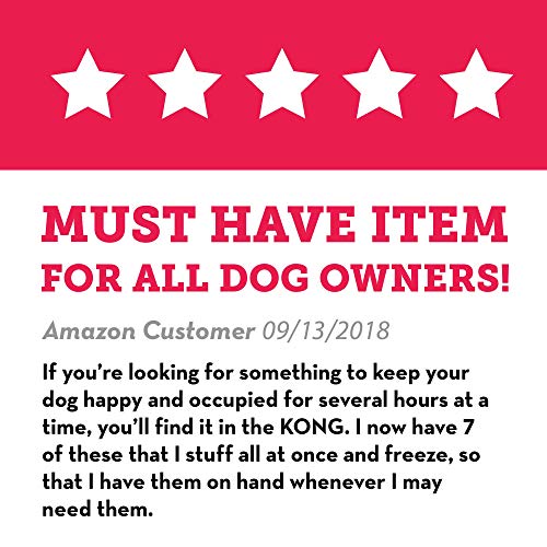 KONG Classic Dog Toy for Large Dogs - Image 9