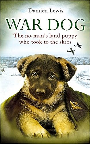 fully insulated outdoor cat house