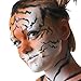 TRI COLOR PALETTE CAT ANIMAL
