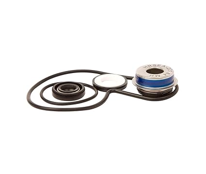 Amazoncom Suzuki 450 Ltr 0609 Kit Reparation Pompe A