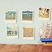 Creative Fashion Steel Push Pin for Photos Wall, Maps, Bulletin Board or Cork Boards, 80 Pieces (Color A, Star Sky and Stripes)