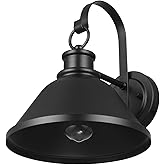 Globe Electric 60000011 1-Light Outdoor Wall Sconce, Matte Black, 10" Warehouse Shade, Gooseneck Stem, Porch Light, Wall Ligh