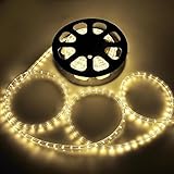 Grandey 32FT 50FT 65FT 98FT 150FT 295FT 2 Wire LED Rope Light Indoor Outdoor Home Holiday Valentines Party Restaurant Cafe Decor GRL-50-CW LED Rope Light(65FT, Warm White)