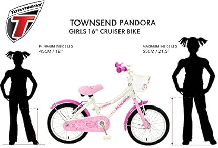 townsend pandora bike