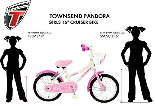 townsend pandora bike