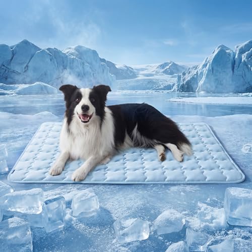 Bedsure ArcticMax Cooling Mat