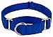 Country Brook Design – Martingale Heavyduty Nylon Dog Collar – Royal Blue – Mediumthumb 2
