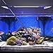 POPETPOP 26in Aquarium Aluminum Alloy Scraper with 10 Replaceable Scrapers for Glass Fish Tank (Black)