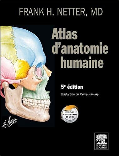 51Hg7L81M1L._SX377_BO1,204,203,200_.jpg