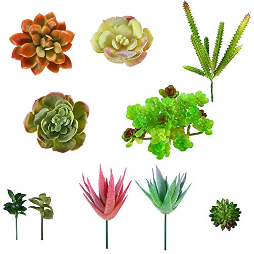 These are beautiful and very realistic.