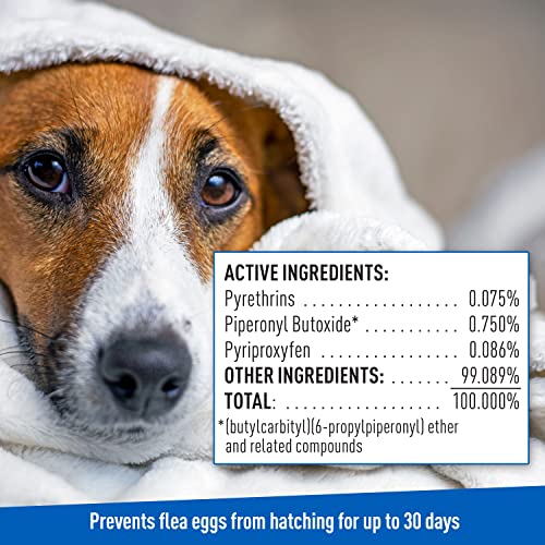 Adams Flea & Tick Cleansing Shampoo Flea and Tick Treatment for Dogs