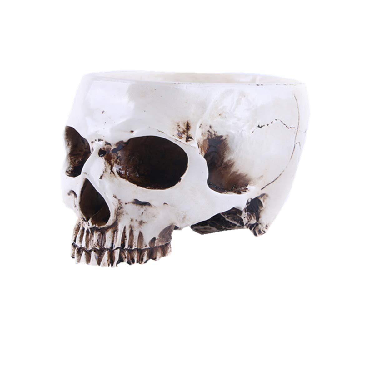 Yundxi Resin Halloween Skull Head Flower Pot Plant Bowl Container Garden Planter Container (White)