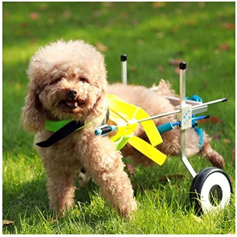 Dog Wheelchair,dog car,Suitable for Pet Hind Leg Practice Rehabilitation Limb Handicapped Disabled Injured Assist Walking，Large Small Dogs，Adjustable，2 Wheels，2kg(4.4lbs)—50kg(110lbs)，Multiple Sizes A