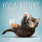 Yoga Kittens 2020 7 x 7 Inch Monthly Mini Wall Calendar, Animals Humor Kitten (Multilingual Edition) by