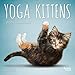 Yoga Kittens 2020 7 x 7 Inch Monthly Mini Wall Calendar, Animals Humor Kitten by 