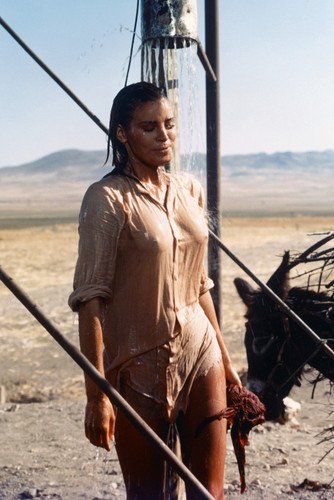 Raquel Welch Wet See Thru T-Shirt 100 Rifles Poster