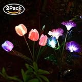 Solarmart Outdoor Solar Garden Lights - 2 Pack Solar Powered Lights, Multi-color Changing LED Solar Stake Lights for Garden, Patio, Backyard (Tulip and Morning glory Flower)