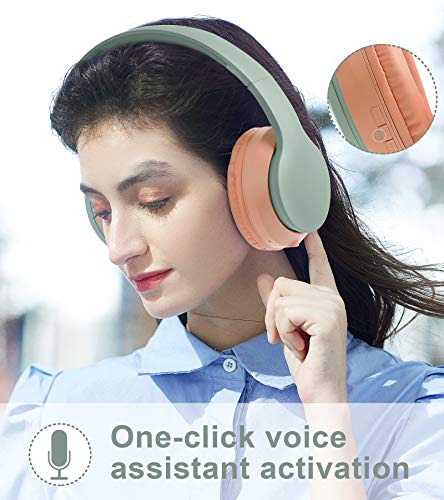 Lobkin Over The Ear Bluetooth Headphones with Microphone, Foldable Hi-Fi Stereo Noice Reduce Earphones for Class, Home Office, Game/TV/PC/Phone Comfortable Steel Wireless Headphone