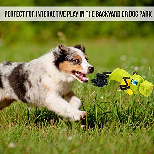 Hyper Pet Flying Pig Slingshot Dog Toy Pricepulse